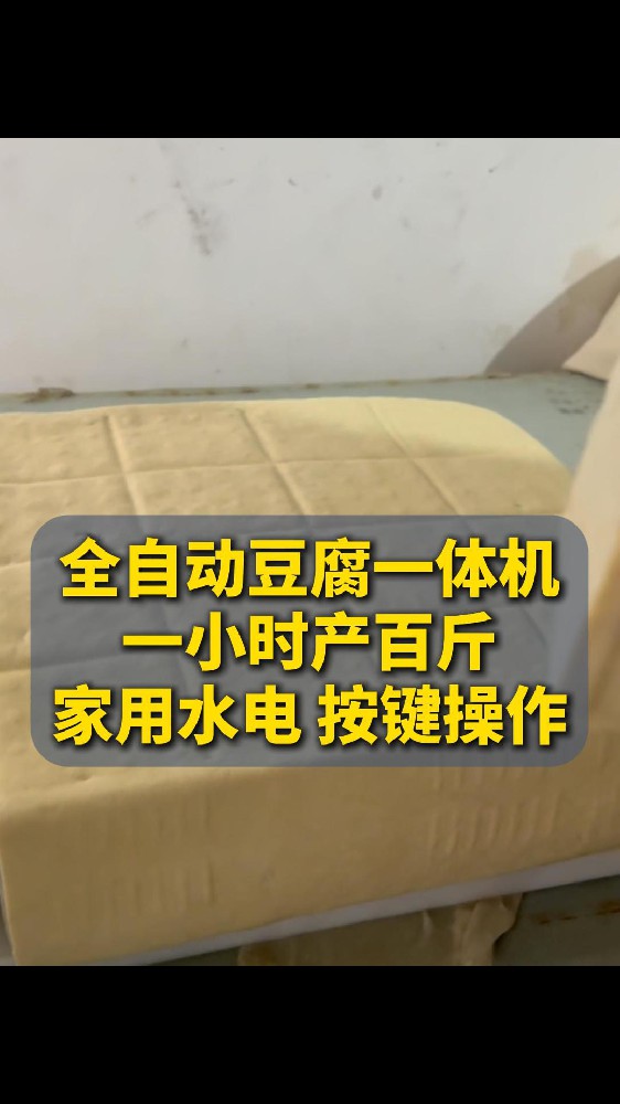全自动豆腐机单磨一体（D Q - 5 0）