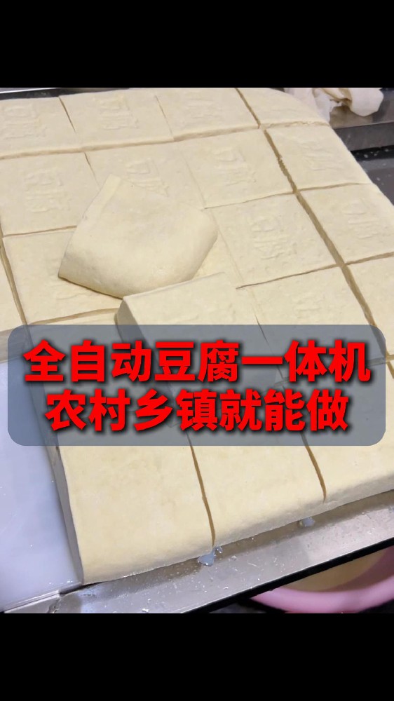 豆腐机全自动生产线