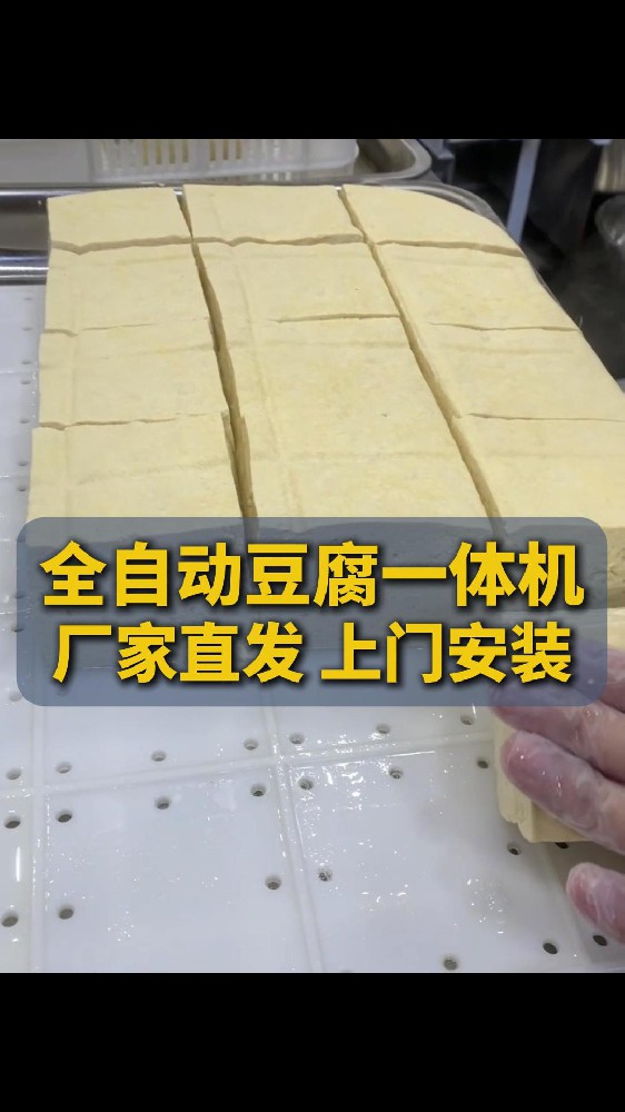 豆腐机多少钱一台