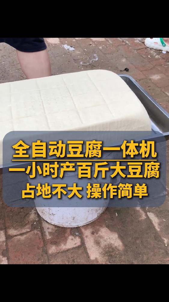 豆腐机做豆腐完整视频