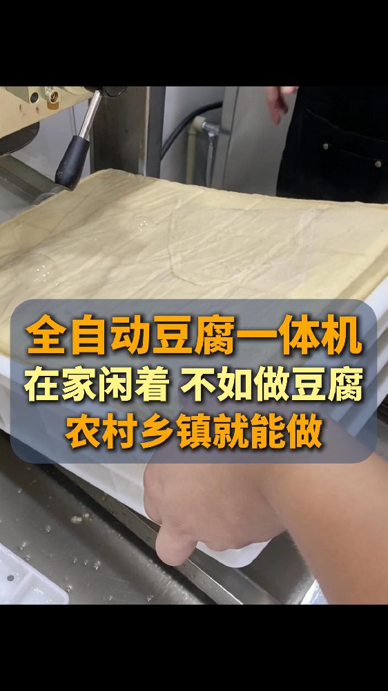 全自动豆腐机生产线报价