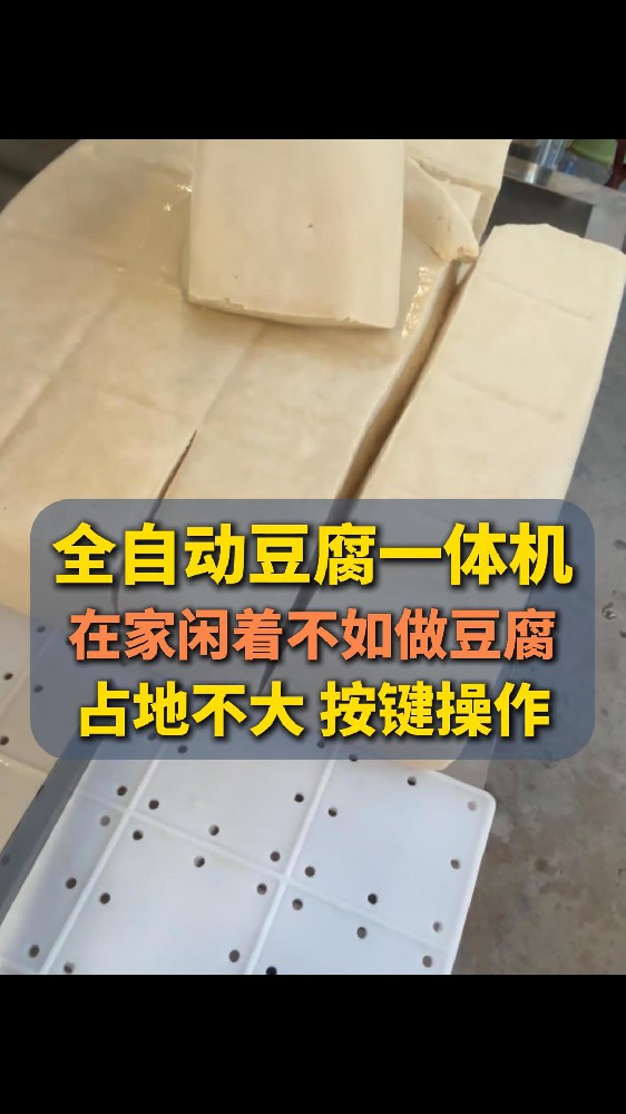 全自动豆腐机多少钱一台