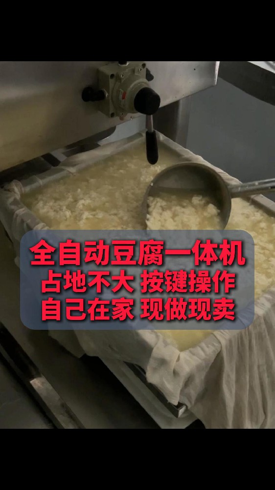 全自动豆腐机多少钱