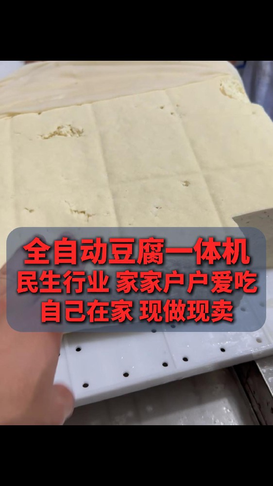 全自动豆腐机设备价格