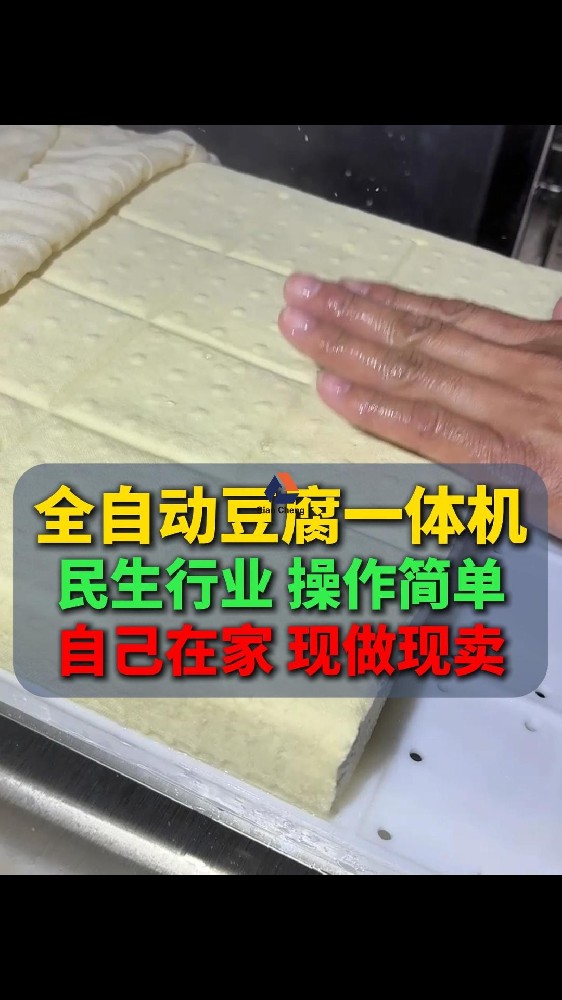 新型全自动豆腐机,民生行业操作简单自己在家现做现卖