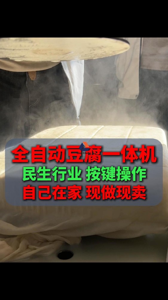 全自动小型豆腐机，养老的好生意按键操作现做现卖