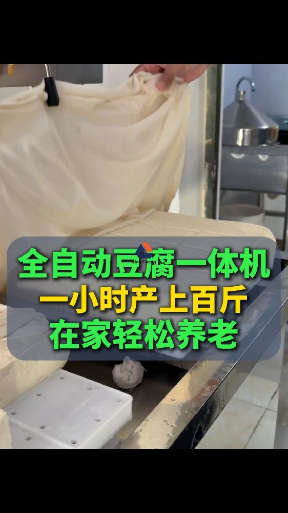 全自动豆腐机源头厂家，油豆腐机器