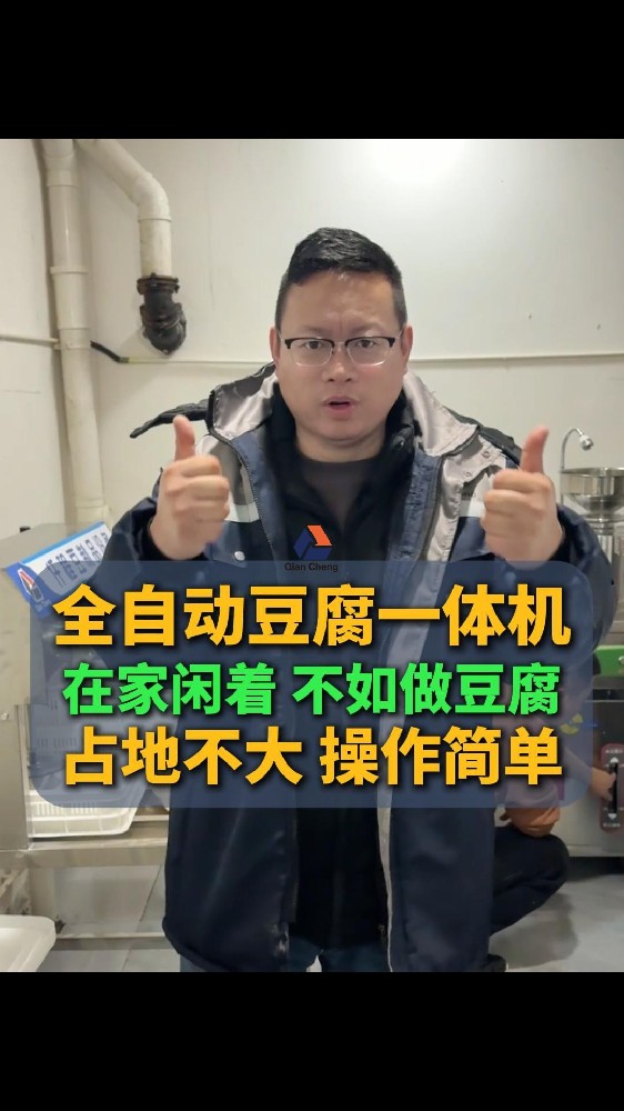 内脂豆腐机器,花生豆腐机价位及厂家